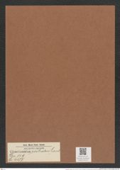Chaetoceros rostratus Land. (de-Toni-Nr.: Genus 149, Species 4137) Zeichnungen Sammlung Grunow Mappe 04140 (Herbarium_W_Grunow_drawings_Folder_04140)